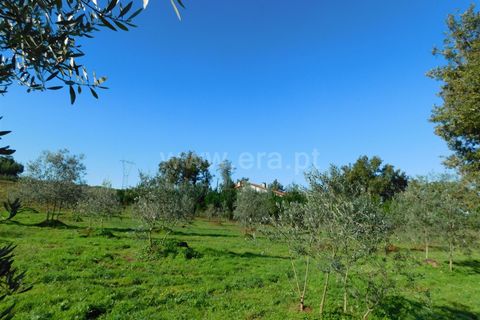 Helårsgrund i Seia, Guarda, Seia - € 16.000 | Ref: 382220477 - foto 11