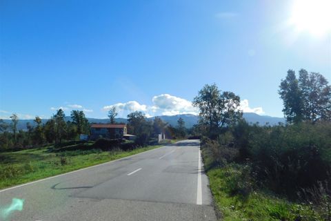 Helårsgrund i Seia, Guarda, Seia - € 16.000 | Ref: 382220477 - foto 12