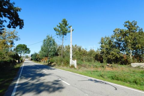 Helårsgrund i Seia, Guarda, Seia - € 16.000 | Ref: 382220477 - foto 13