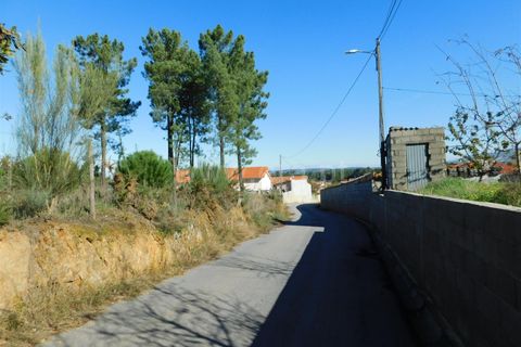 Tomt i Seia, Guarda, Seia - € 80 000 | Ref: 382220478 - foto 2