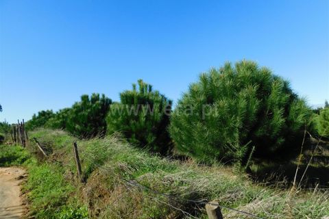 Tomt i Seia, Guarda, Seia - € 80 000 | Ref: 382220478 - foto 3