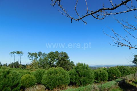 Tomt i Seia, Guarda, Seia - € 80 000 | Ref: 382220478 - foto 7