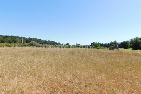 Tomt i Seia, Guarda, Seia - € 30 000 | Ref: 382220431 - foto 2