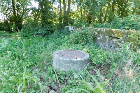 Tomt i Seia, Guarda, Seia - € 30 000 | Ref: 382220431 - foto 4