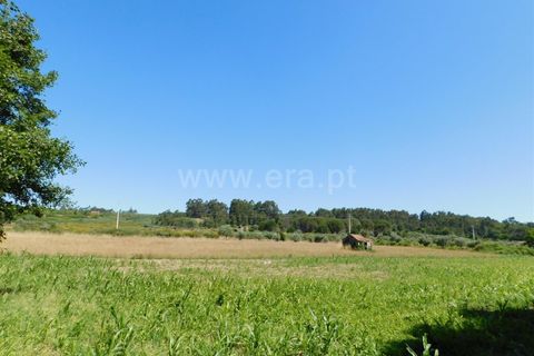 Tomt i Seia, Guarda, Seia - € 30 000 | Ref: 382220431 - foto 5