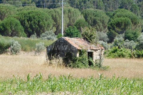 Tomt i Seia, Guarda, Seia - € 30 000 | Ref: 382220431 - foto 6