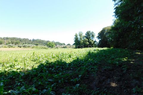 Tomt i Seia, Guarda, Seia - € 30 000 | Ref: 382220431 - foto 7