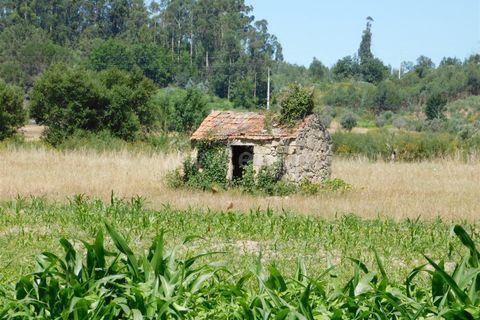 Tomt i Seia, Guarda, Seia - € 30 000 | Ref: 382220431 - foto 9