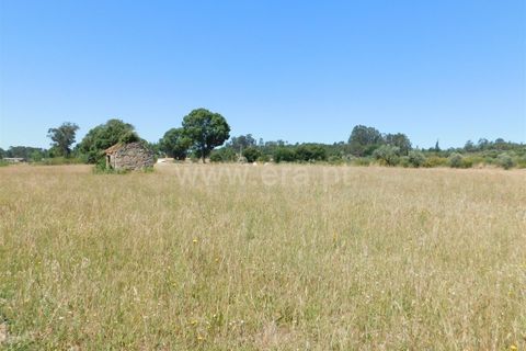 Tomt i Seia, Guarda, Seia - € 30 000 | Ref: 382220431 - foto 10