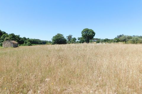 Tomt i Seia, Guarda, Seia - € 30 000 | Ref: 382220431 - foto 12