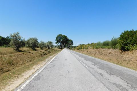 Tomt i Seia, Guarda, Seia - € 30 000 | Ref: 382220431 - foto 13