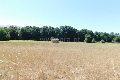 Tomt i Seia, Guarda, Seia - € 30 000 | Ref: 382220431 - foto 14