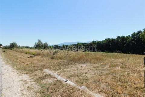 Tomt i Seia, Guarda, Seia - € 30 000 | Ref: 382220431 - foto 15