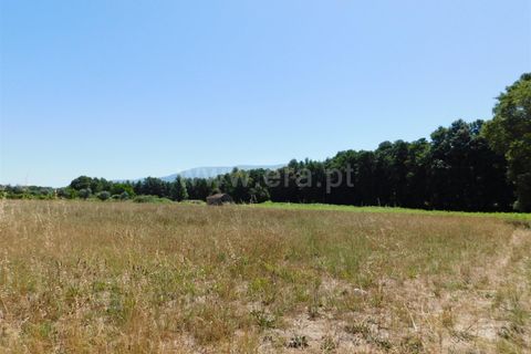 Tomt i Seia, Guarda, Seia - € 30 000 | Ref: 382220431 - foto 16