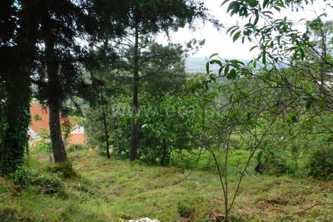 Tomt i Seia, Guarda, Seia - € 29 450 | Ref: 382220002 - foto 6