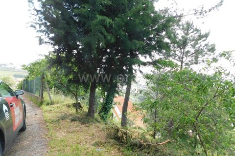 Tomt i Seia, Guarda, Seia - € 29 450 | Ref: 382220002 - foto 7