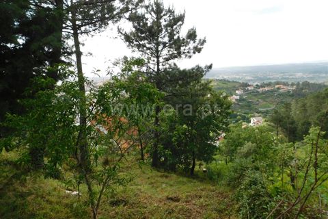 Tomt i Seia, Guarda, Seia - € 29 450 | Ref: 382220002 - foto 8