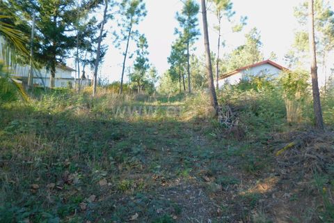 Helårsgrund i Seia, Guarda, Seia - € 45.000 | Ref: 382220043 - foto 2