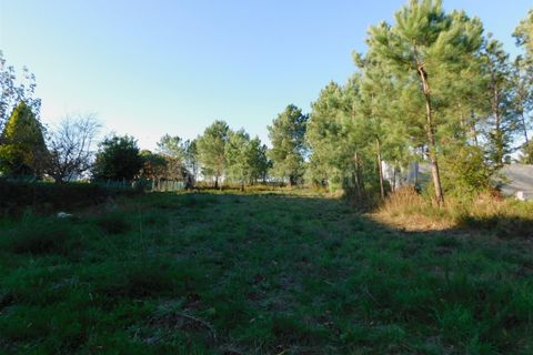 Helårsgrund i Seia, Guarda, Seia - € 45.000 | Ref: 382220043 - foto 3