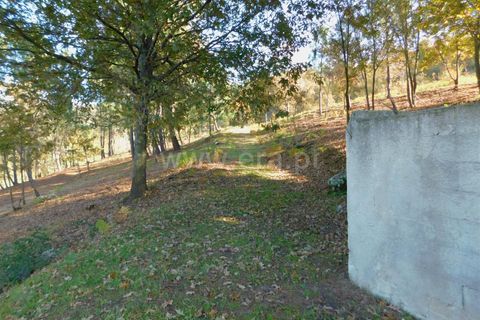 Tomt i Seia, Guarda, Seia - € 17 500 | Ref: 382220046 - foto 2