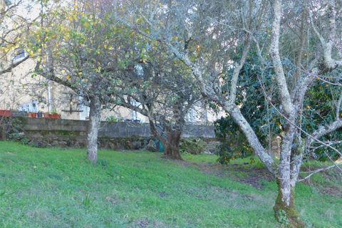 Tomt i Seia, Guarda, Seia - € 17 500 | Ref: 382220046 - foto 5