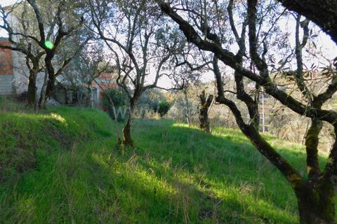 Tomt i Seia, Guarda, Seia - € 17 500 | Ref: 382220046 - foto 7