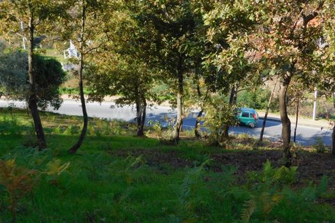 Tomt i Seia, Guarda, Seia - € 17 500 | Ref: 382220046 - foto 10
