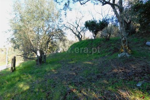 Tomt i Seia, Guarda, Seia - € 17 500 | Ref: 382220046 - foto 11