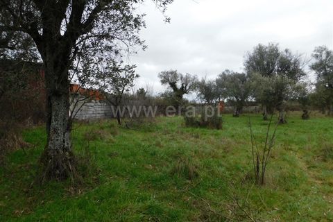 Villa i Seia, Guarda, Seia - € 25.000 | Ref: 382220051 - foto 4