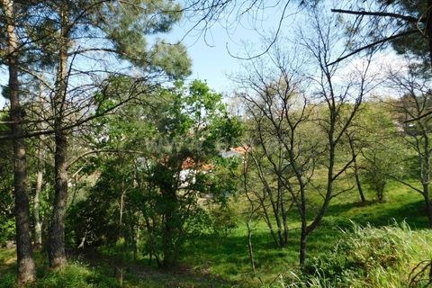 Tomt i Seia, Guarda, Seia - € 47 500 | Ref: 382220056 - foto 2
