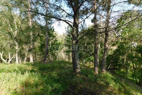 Tomt i Seia, Guarda, Seia - € 47 500 | Ref: 382220056 - foto 3