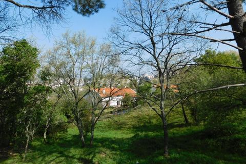 Tomt i Seia, Guarda, Seia - € 47 500 | Ref: 382220056 - foto 4