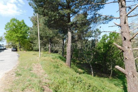 Tomt i Seia, Guarda, Seia - € 47 500 | Ref: 382220056 - foto 5