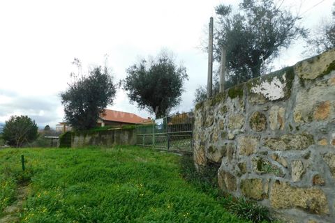 Helårsgrund i Seia, Guarda, Seia - € 49.000 | Ref: 382220509 - foto 2
