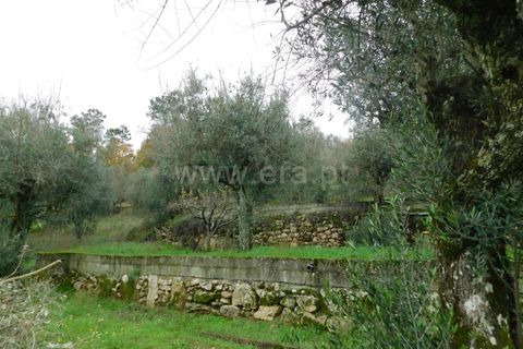 Helårsgrund i Seia, Guarda, Seia - € 49.000 | Ref: 382220509 - foto 4