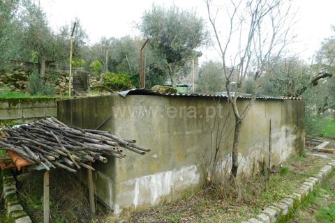 Helårsgrund i Seia, Guarda, Seia - € 49.000 | Ref: 382220509 - foto 5