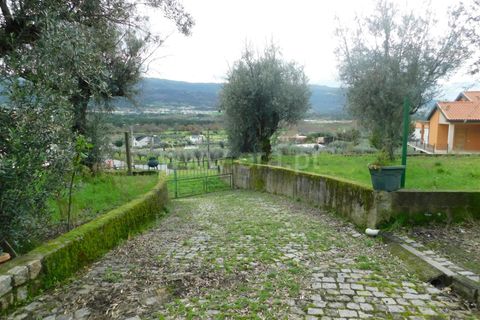 Helårsgrund i Seia, Guarda, Seia - € 49.000 | Ref: 382220509 - foto 6