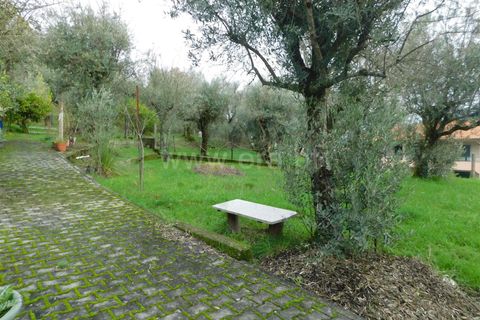 Helårsgrund i Seia, Guarda, Seia - € 49.000 | Ref: 382220509 - foto 7