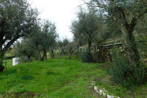 Helårsgrund i Seia, Guarda, Seia - € 49.000 | Ref: 382220509 - foto 9