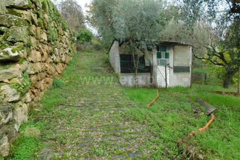 Helårsgrund i Seia, Guarda, Seia - € 49.000 | Ref: 382220509 - foto 12