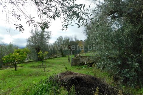 Helårsgrund i Seia, Guarda, Seia - € 49.000 | Ref: 382220509 - foto 13