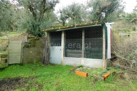 Helårsgrund i Seia, Guarda, Seia - € 49.000 | Ref: 382220509 - foto 15