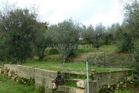 Helårsgrund i Seia, Guarda, Seia - € 49.000 | Ref: 382220509 - foto 16