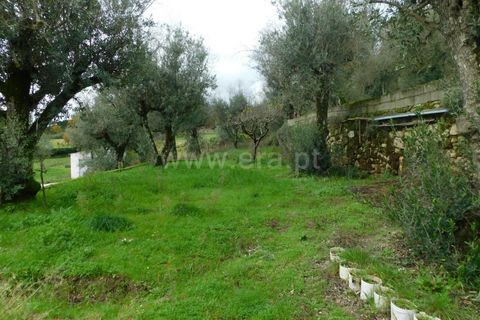 Helårsgrund i Seia, Guarda, Seia - € 49.000 | Ref: 382220509 - foto 18