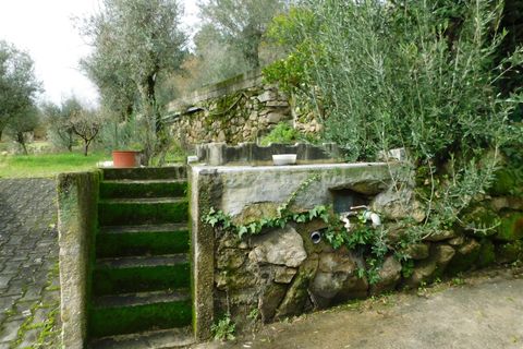 Helårsgrund i Seia, Guarda, Seia - € 49.000 | Ref: 382220509 - foto 21