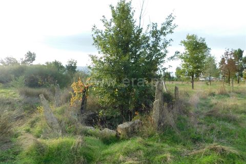 Tomt i Seia, Guarda, Seia - € 25 000 | Ref: 382220468 - foto 2