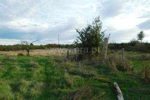 Tomt i Seia, Guarda, Seia - € 25 000 | Ref: 382220468 - foto 3