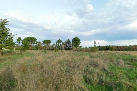 Tomt i Seia, Guarda, Seia - € 25 000 | Ref: 382220468 - foto 4