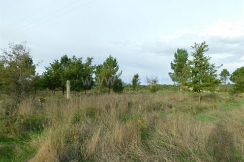 Tomt i Seia, Guarda, Seia - € 25 000 | Ref: 382220468 - foto 5