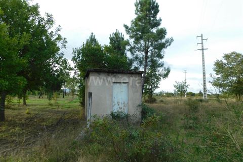 Tomt i Seia, Guarda, Seia - € 25 000 | Ref: 382220468 - foto 6